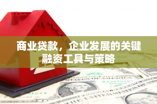 大安商业贷款，企业发展的关键融资工具与策略