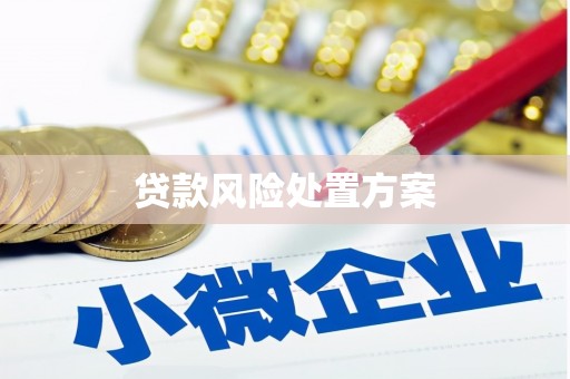 大安贷款风险处置方案