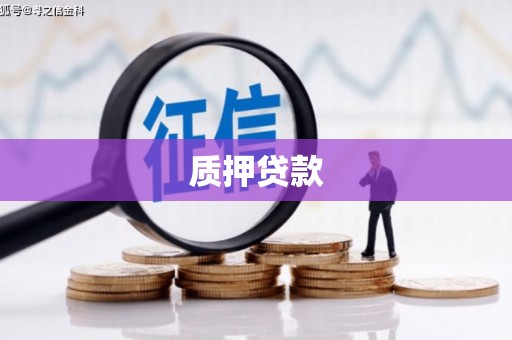 大安质押贷款