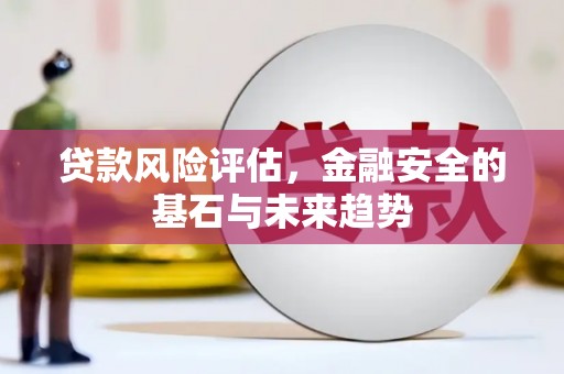 大安贷款风险评估，金融安全的基石与未来趋势