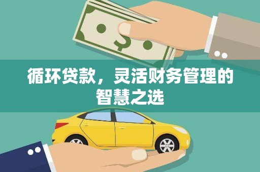 大安循环贷款，灵活财务管理的智慧之选