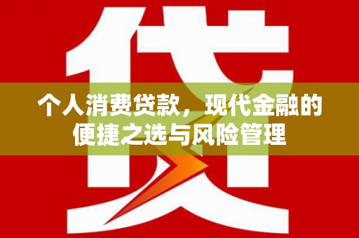 大安个人消费贷款，现代金融的便捷之选与风险管理
