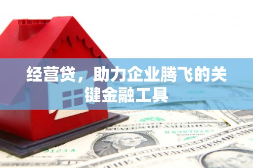 大安经营贷，助力企业腾飞的关键金融工具