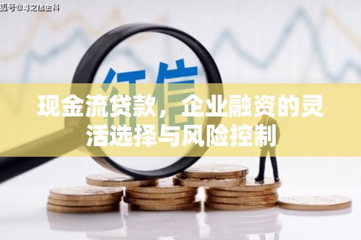 大安现金流贷款，企业融资的灵活选择与风险控制