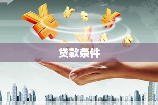 大安贷款条件