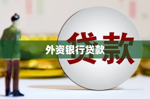 大安外资银行贷款