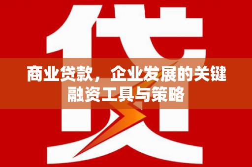 大安商业贷款，企业发展的关键融资工具与策略