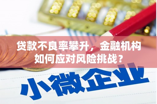 大安贷款不良率攀升，金融机构如何应对风险挑战？