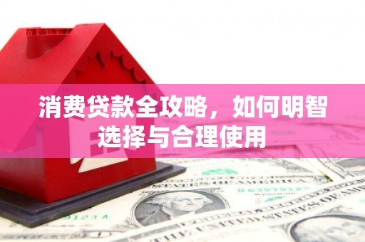 大安消费贷款全攻略，如何明智选择与合理使用