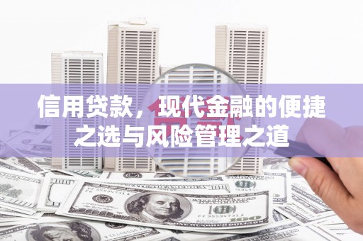 大安信用贷款，现代金融的便捷之选与风险管理之道