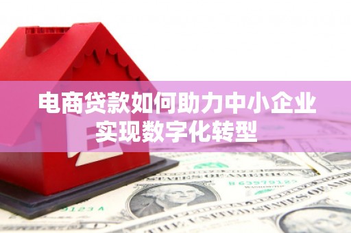 大安电商贷款如何助力中小企业实现数字化转型