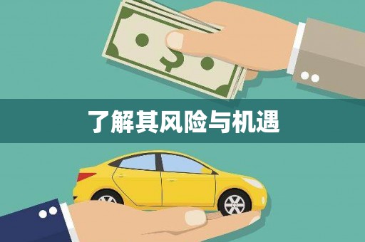 大安了解其风险与机遇