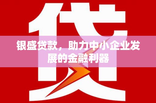 大安银盛贷款，助力中小企业发展的金融利器