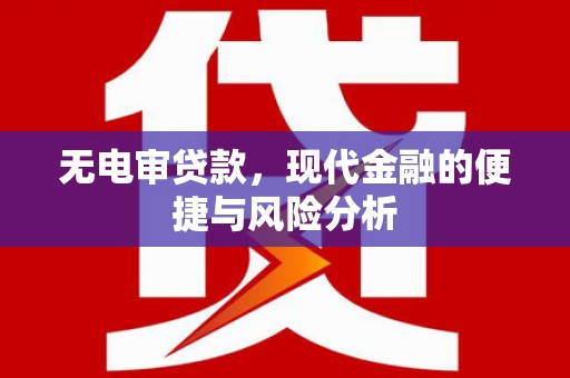 大安无电审贷款，现代金融的便捷与风险分析