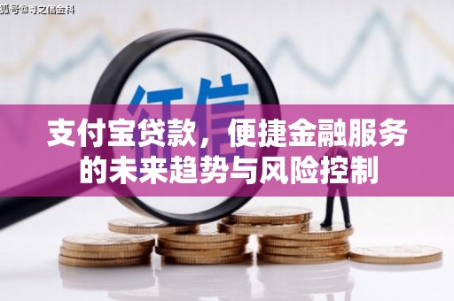 大安支付宝贷款，便捷金融服务的未来趋势与风险控制