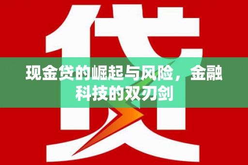 大安现金贷的崛起与风险，金融科技的双刃剑