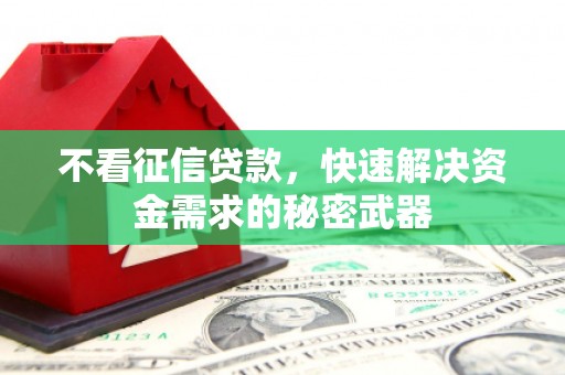 大安不看征信贷款，快速解决资金需求的秘密武器