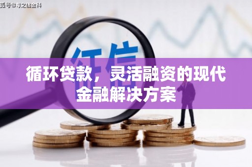 大安循环贷款，灵活融资的现代金融解决方案