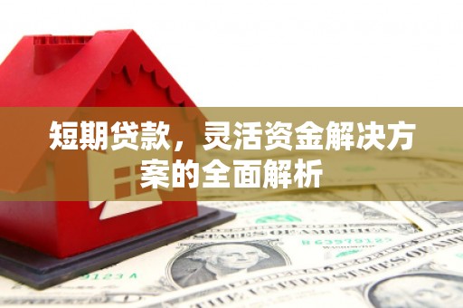 大安短期贷款，灵活资金解决方案的全面解析