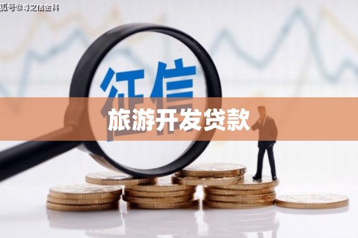 大安旅游开发贷款