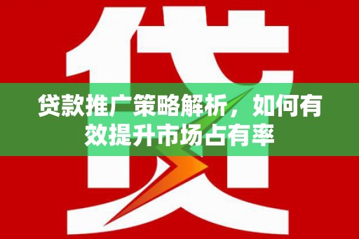 大安贷款推广策略解析，如何有效提升市场占有率