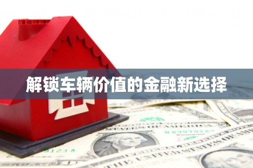 大安解锁车辆价值的金融新选择