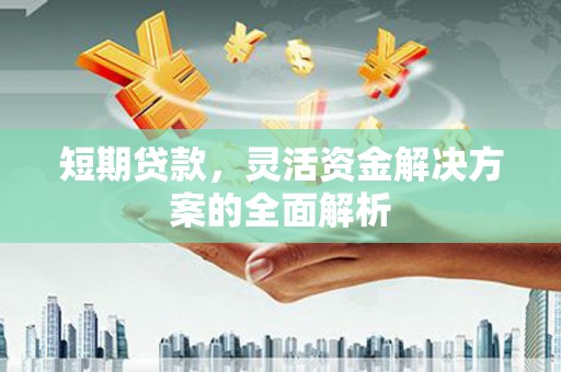 大安短期贷款，灵活资金解决方案的全面解析