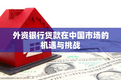 大安外资银行贷款在中国市场的机遇与挑战