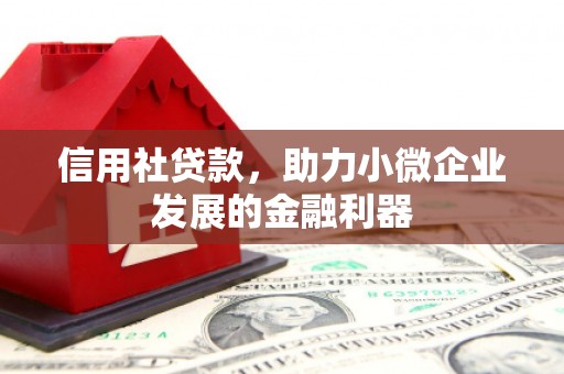 大安信用社贷款，助力小微企业发展的金融利器