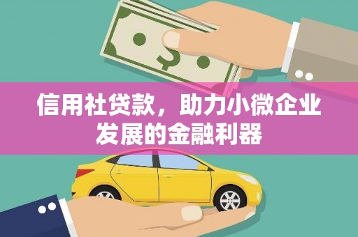 大安信用社贷款，助力小微企业发展的金融利器