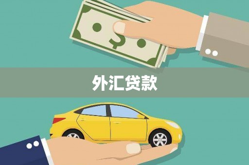 大安外汇贷款