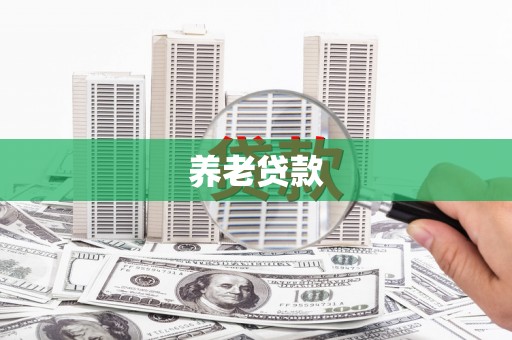 大安养老贷款