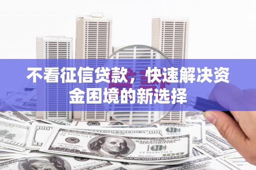 大安不看征信贷款，快速解决资金困境的新选择