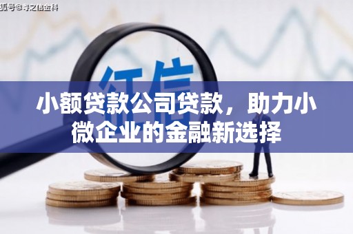 大安小额贷款公司贷款，助力小微企业的金融新选择