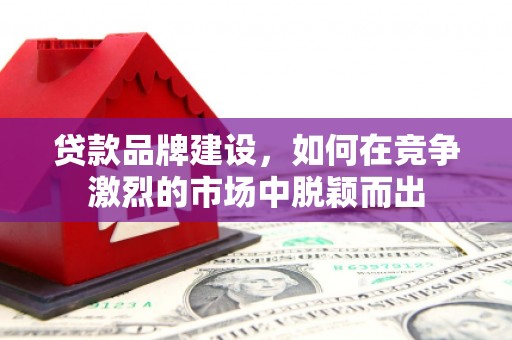 大安贷款品牌建设，如何在竞争激烈的市场中脱颖而出