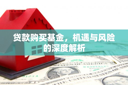 大安贷款购买基金，机遇与风险的深度解析