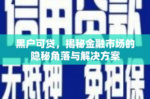 大安黑户可贷，揭秘金融市场的隐秘角落与解决方案