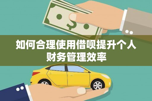 大安如何合理使用借呗提升个人财务管理效率