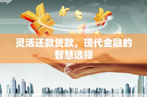 大安灵活还款贷款，现代金融的智慧选择