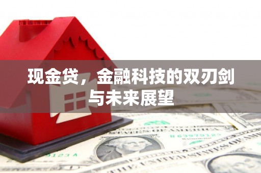 大安现金贷，金融科技的双刃剑与未来展望