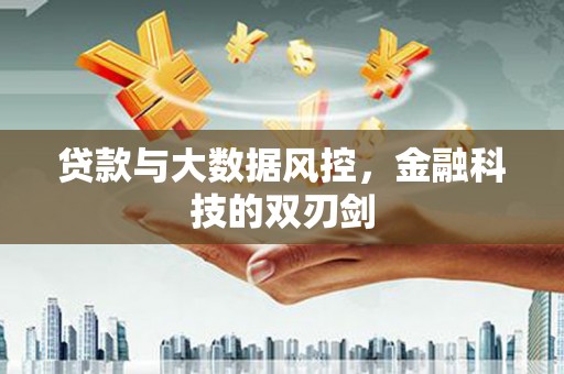 大安贷款与大数据风控，金融科技的双刃剑
