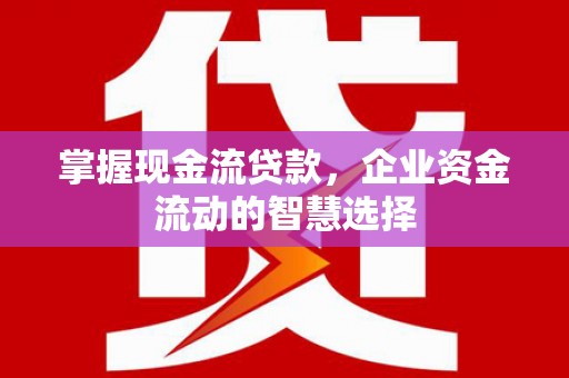 大安掌握现金流贷款，企业资金流动的智慧选择