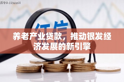 大安养老产业贷款，推动银发经济发展的新引擎