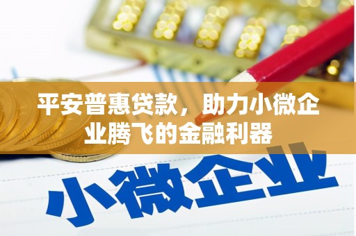 大安平安普惠贷款，助力小微企业腾飞的金融利器
