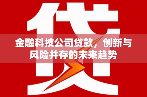 大安金融科技公司贷款，创新与风险并存的未来趋势