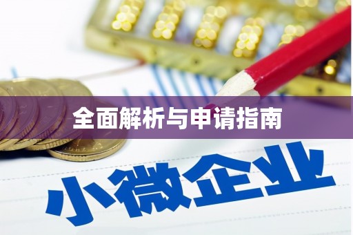 大安全面解析与申请指南