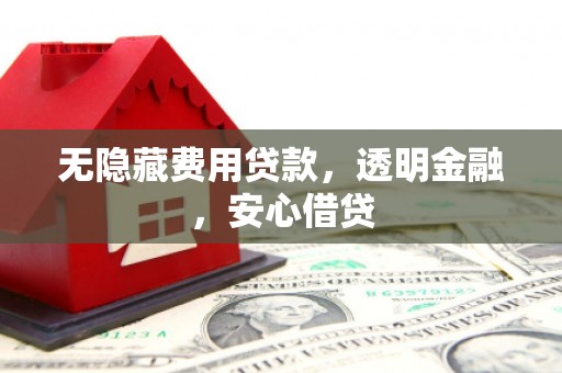 大安无隐藏费用贷款，透明金融，安心借贷