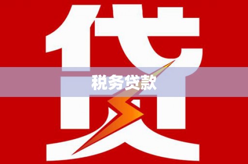 大安税务贷款