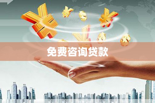 大安免费咨询贷款