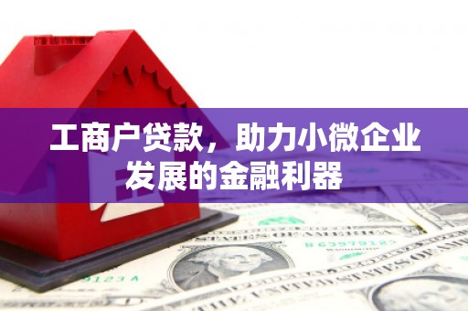 大安工商户贷款，助力小微企业发展的金融利器